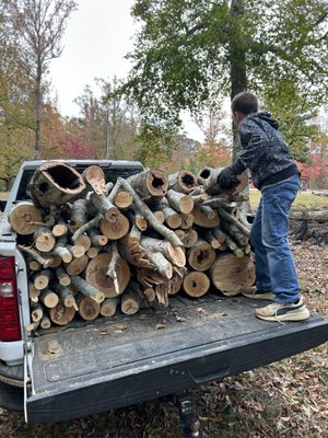 Junk Removal